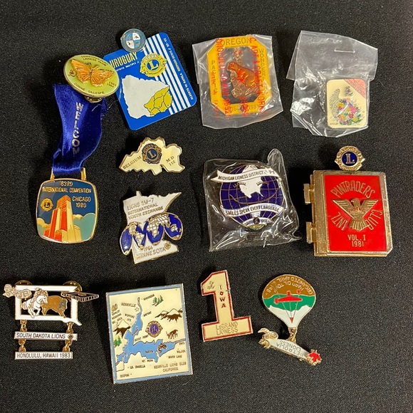 Lions & Lioness Club Lot of 13 Lapel Pins - Picture 1 of 10